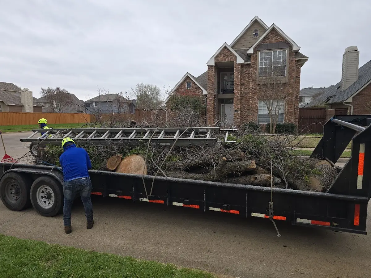 Expert Tree Fertilization with proper safety equipment in Windthorst